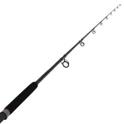 Okuma Ceymar Spinning Rod 6ft 6in 6-10kg 1pc