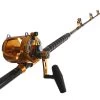 Okuma Makaira Gold 50WII Game Alps 2-Speed Fully Rollered Combo 5'8'' 24kg 1pc -Okuma com11ok092 2 1 1